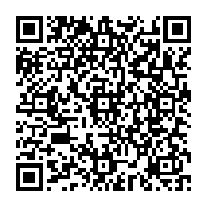 这些侍卫身上的皮肤和血肉脏器就像融化的蜡烛一样变成浓浓的血水不断的往地上掉下去二维码生成