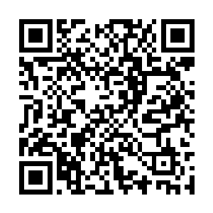 这些变异体可都是因为冷锋的缘故才不攻击他们的二维码生成