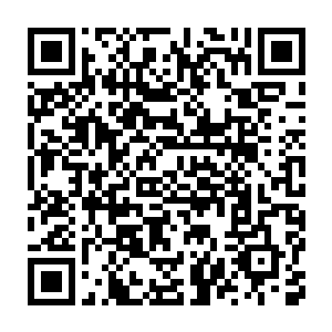 这些变异生物似乎忘记了一点……它们此刻正在与秦方进行着生死搏杀二维码生成