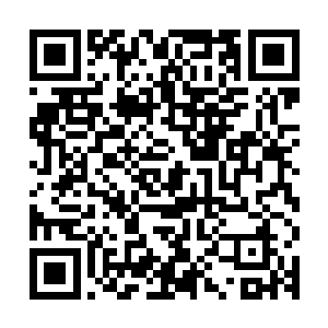 这些叫骂声自然而然地引起了张东城的守卫者强烈而愤怒的反击二维码生成