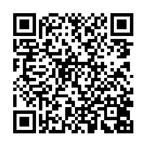 这些各门各派的掌门和家族族长修为又能高到哪里去二维码生成