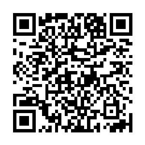 这些大家族的公子哥和长老们什么时候见过这样的阵仗二维码生成