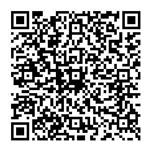 这些娱乐经纪人常常出没于比弗利山和附近世纪城的摩天大楼连接起来的威希尔大街和圣塔莫妮卡大道一带二维码生成