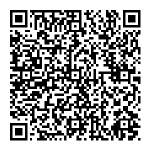 这些家伙正在卯足了一切心思的想要将不属于这个世界或者是和这个世界的联系太深的修真者来确认天道意识的存在二维码生成