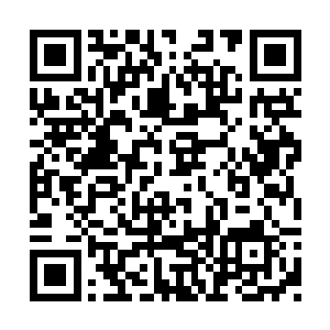 这些家族表面上跟血傀和鹤习家族没有一点关系二维码生成