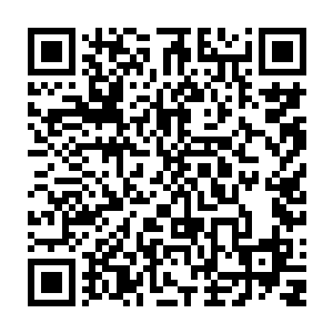 这些小型的虚无之花很明显不如许紫烟他们当初遇到的那朵巨型虚无之花二维码生成