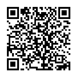 这些年他从杨开这边最起码赚了有将近一百五十万墨币二维码生成