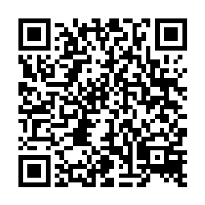 这些年你学到的东西不比老老实实去上学要强上十万倍二维码生成