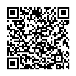 这些极品灵石的数量足以让他们修炼一辈子不用发愁二维码生成