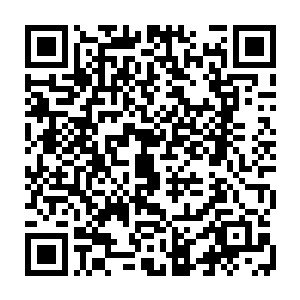 这些枝条窜入秦宇的体内肆意的破坏着秦宇的筋脉朝着丹田所在之处而去二维码生成