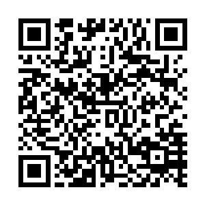 这些死亡士兵就和彻底化为一堆连丧尸都不愿意染指的废肉二维码生成