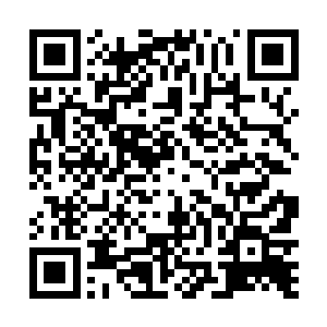 这些玩家果真去将帐篷翻了个底朝天…自然是一无所获二维码生成