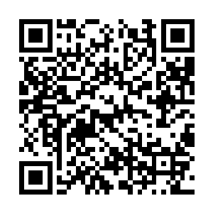 这些男生们全都把南宫希柔当成大国宝一般的供着二维码生成