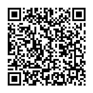 这些萎靡了好长时间的蛇人族族人们这个时候总算是扬眉吐气了一把二维码生成