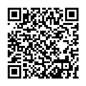 这些被压制在城外蠢蠢欲动养了几十年的野狗们二维码生成