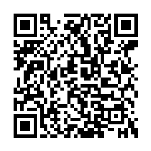 这些都是他们还没有完全化形而带着的原始姿态二维码生成