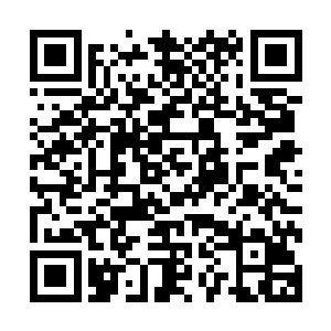 这些都是曾经的大门碎片……当时费了好对劲我们才将其打开二维码生成