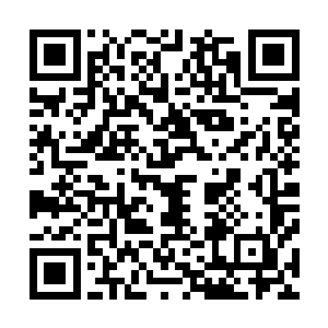 这些骑兵代表着的大人物的意志合在一起也无法撼动她分毫二维码生成