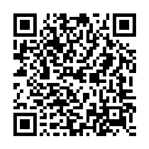 这人完全漠视人家苏文从始至终都没有说还有更多文言文的事实二维码生成