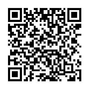 这代表以后他在这个原始社会就算碰见不认识的生物二维码生成