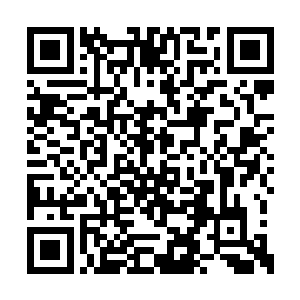 这代表着我下个月是不是要过累成狗一样的日子二维码生成