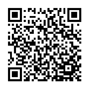 这件事肯定可以很大提升法奥兰家族在王国里的地位与影响力二维码生成