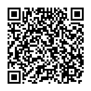 这件事还真是你运气不好……其实我们本来只是想单纯地玩一次反敲诈二维码生成