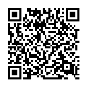 这任琦宁还真是…难怪东方蕙会舍弃他宁愿选择墨景黎了二维码生成