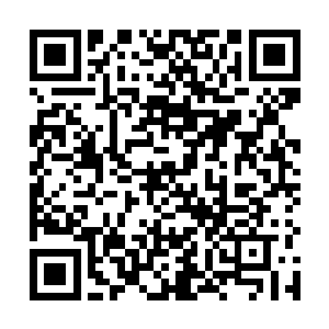 这份不服在看到原战手腕上的骨镯和胸前挂的骨项链后二维码生成