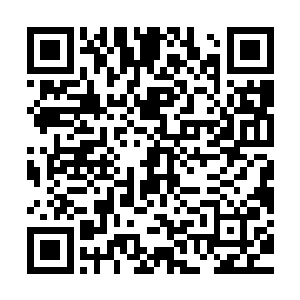 这份图纸将会是自己和自己家族在德界重新说上话的最重要砝码二维码生成