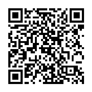 这会他身上爬着的小手跟他刚才往小鬼身上丢的虫子一样多二维码生成