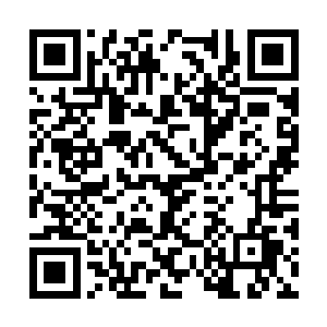 这会儿这几个海族的心思已经开始迅速转动了起来二维码生成