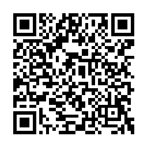 这会子又被我用醋和白酒淋过了连开机都不能了二维码生成