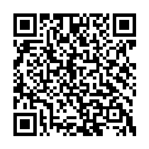 这会正跟夫人还有亲戚在稀罕小公子和小娘子呢二维码生成