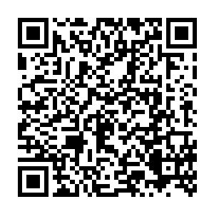 这位是我们索伦拍卖行神罗西城二十七区分行的鉴定大师布拉曼大师二维码生成