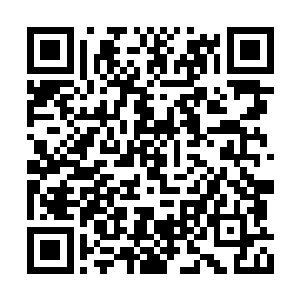 这位李御医很符合苏落心目中对宫廷御医的定位二维码生成