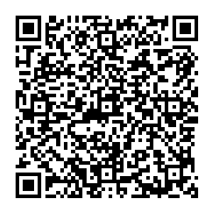 这位美女居然跟他这个不是赌王的赌王对赌……赌局还是眼前这个结果从一开始就注定了的决斗二维码生成