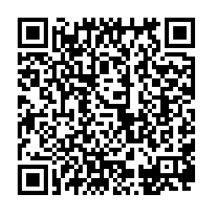 这位超级大佬下发的任务可能是那种阿猫阿狗都可以轻轻松松完成的任务吗二维码生成