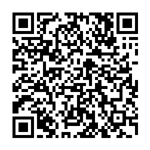 这俩人的精神状态和这些被掳掠来的匠人也差不多・怀着极其卑微的希望二维码生成
