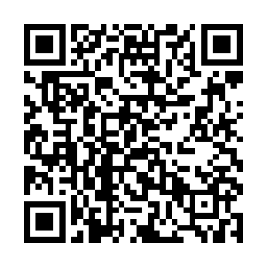 这其中墨修尧一共也不过付出了一头白发的代价罢了二维码生成