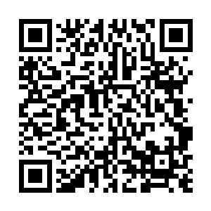 这几乎是每一位新晋升内门弟子所需要做也必须先做的二维码生成
