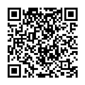 这几大势力只怕几乎已经快要倍噬灵一族彻底的渗透了二维码生成