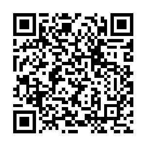 这几天也是每天早出晚归的在做着张铁放生蚯蚓的二维码生成