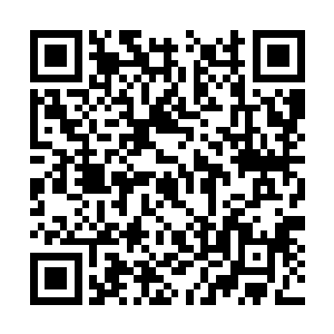 这几天凤小熊经常带着大白去海里找双翼海狮兽玩二维码生成