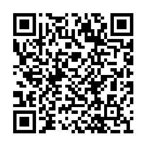 这几天我会和章导商讨一下将我的戏份提前拍摄二维码生成