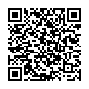 这几头飞行怪兽其实是地球上的雕类飞禽进化而成的二维码生成