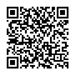 这副慵懒不求上进的画面顿时让负责这个区域安全的机甲士怒了二维码生成