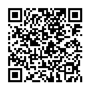 这匹战马忠实的尊奉着已经死去的主人最后动作二维码生成