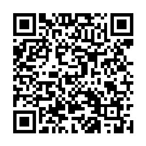 这口玉琮和我们在墨海剑派那招来的玉琮一模一样二维码生成