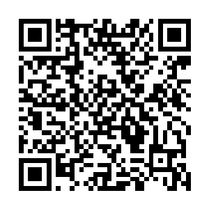 这句话你当地委书记的给这些县委书记县长们灌输过没有二维码生成